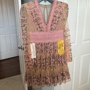 Bronx and Banco Megan Mini Dress in Rose